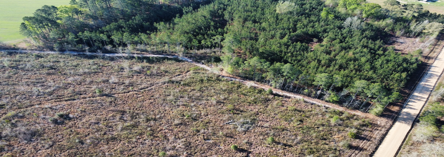 Graham Knight Road – Tract 1 Photo