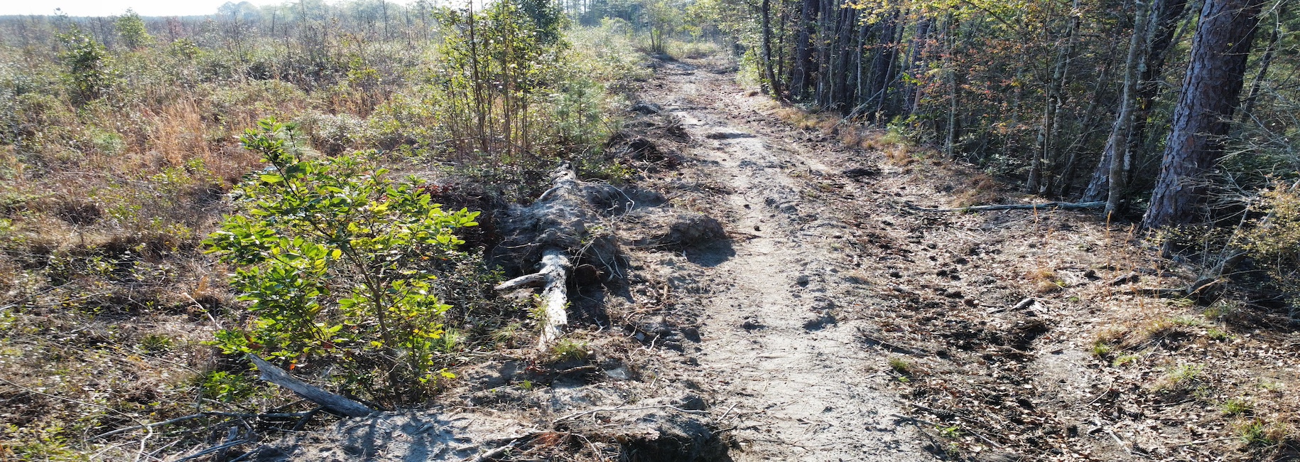 Graham Knight Road – Tract 1 Photo