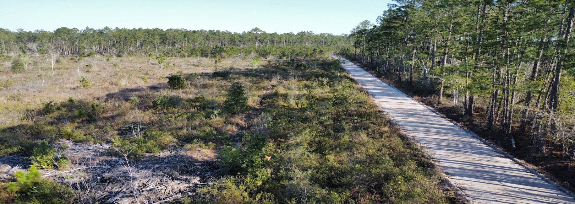 Graham Knight Road – Tract 1 Photo