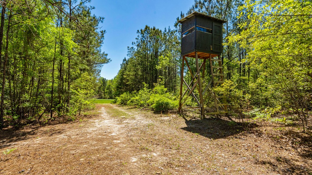 North Taylor Ranch Photo