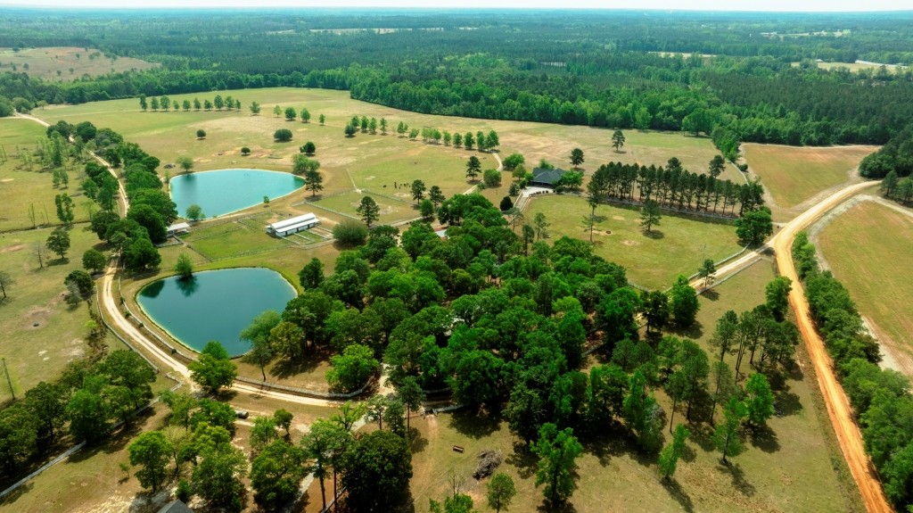 Elysian Fields Cattle Farm Photo