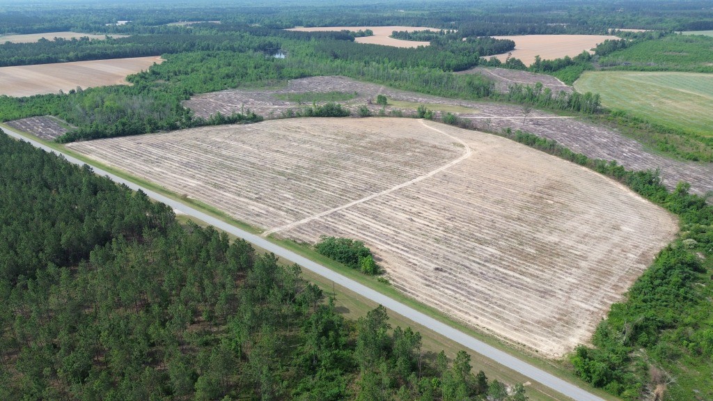 Bunn Store Road Photo