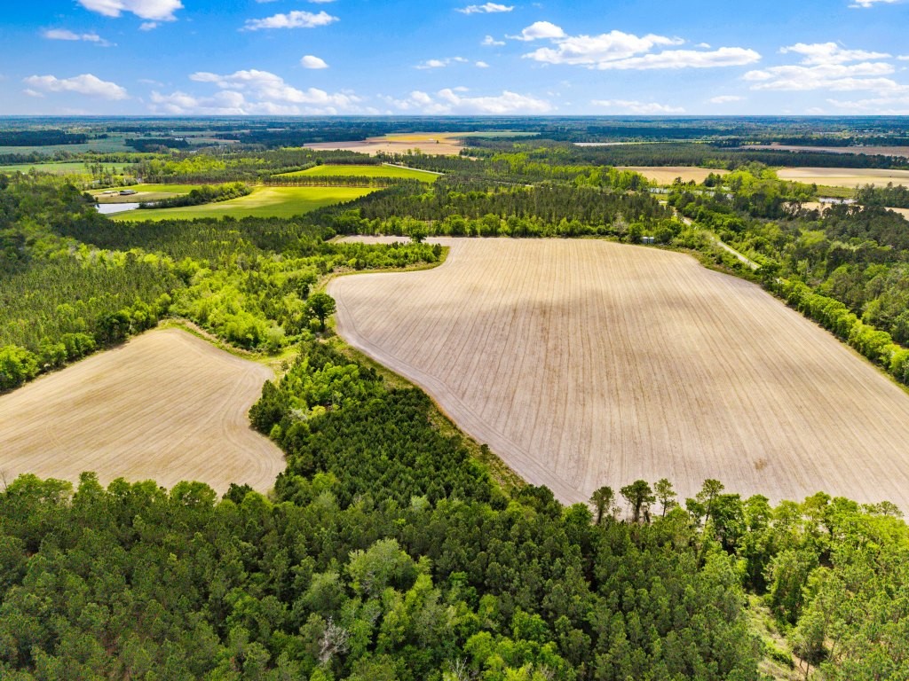 Wolf Branch Farm Photo
