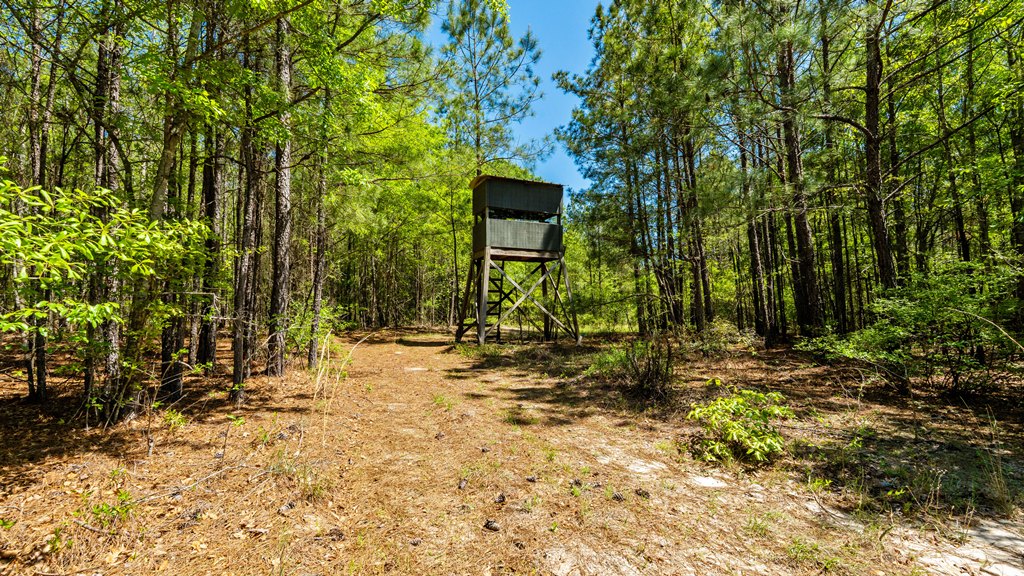 North Taylor Ranch Photo