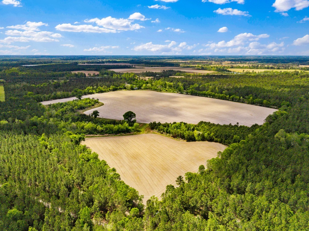 Wolf Branch Farm Photo