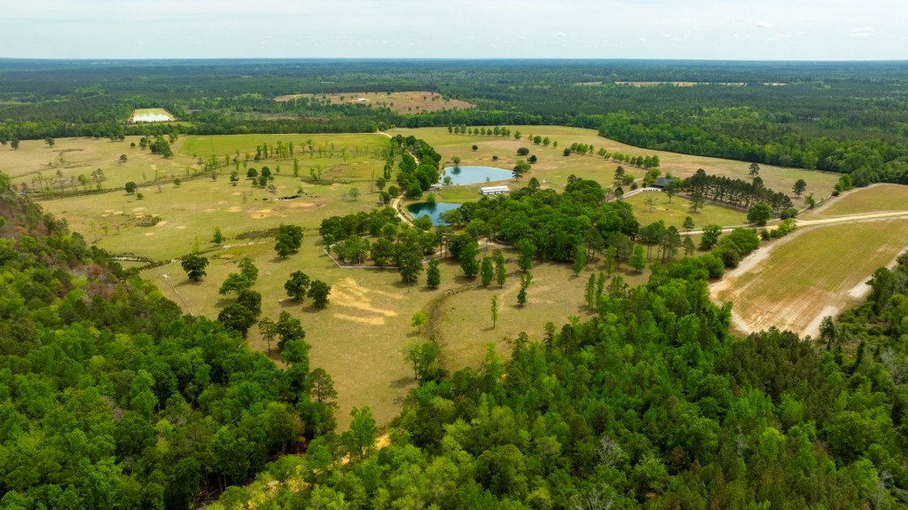 Elysian Fields Cattle Farm Photo