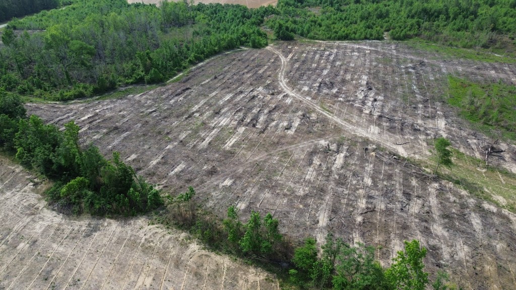 Bunn Store Road Photo