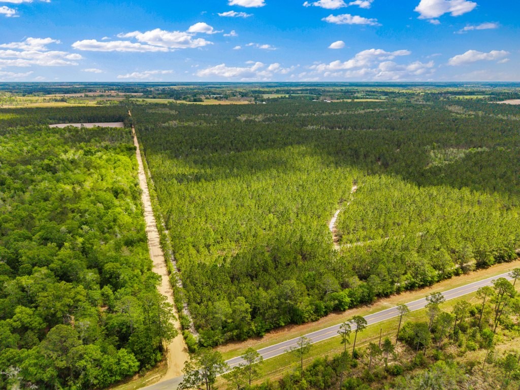 Wolf Branch Farm Photo