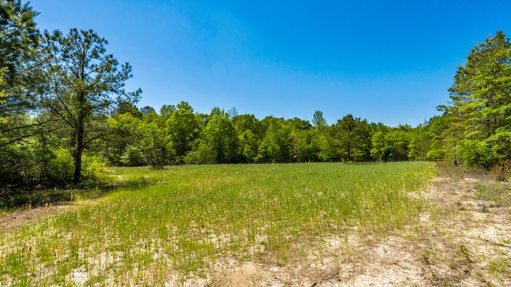 North Taylor Ranch Photo