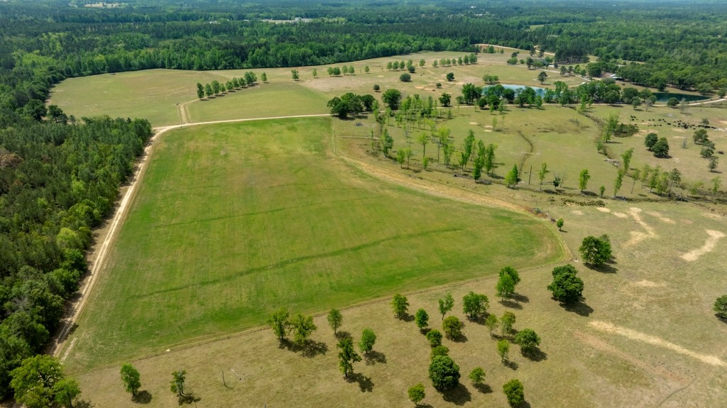Elysian Fields Cattle Farm Photo