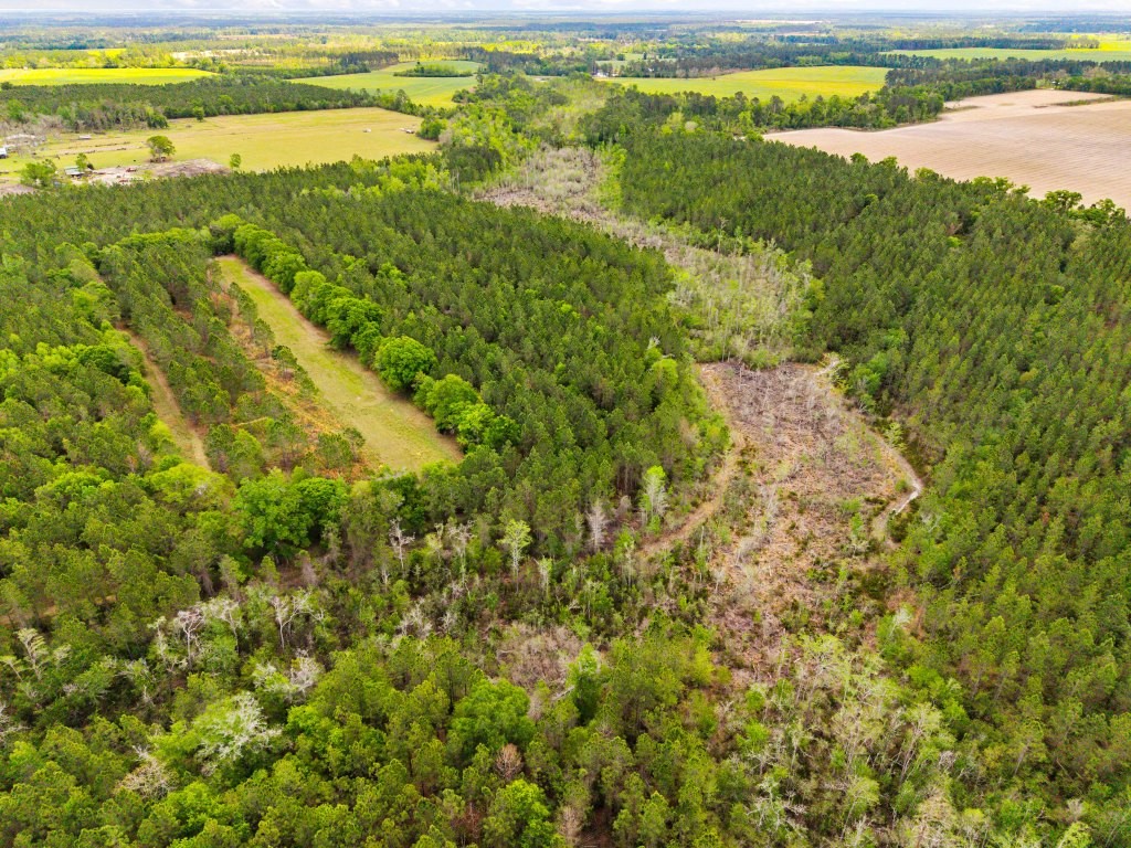 Wolf Branch Farm Photo