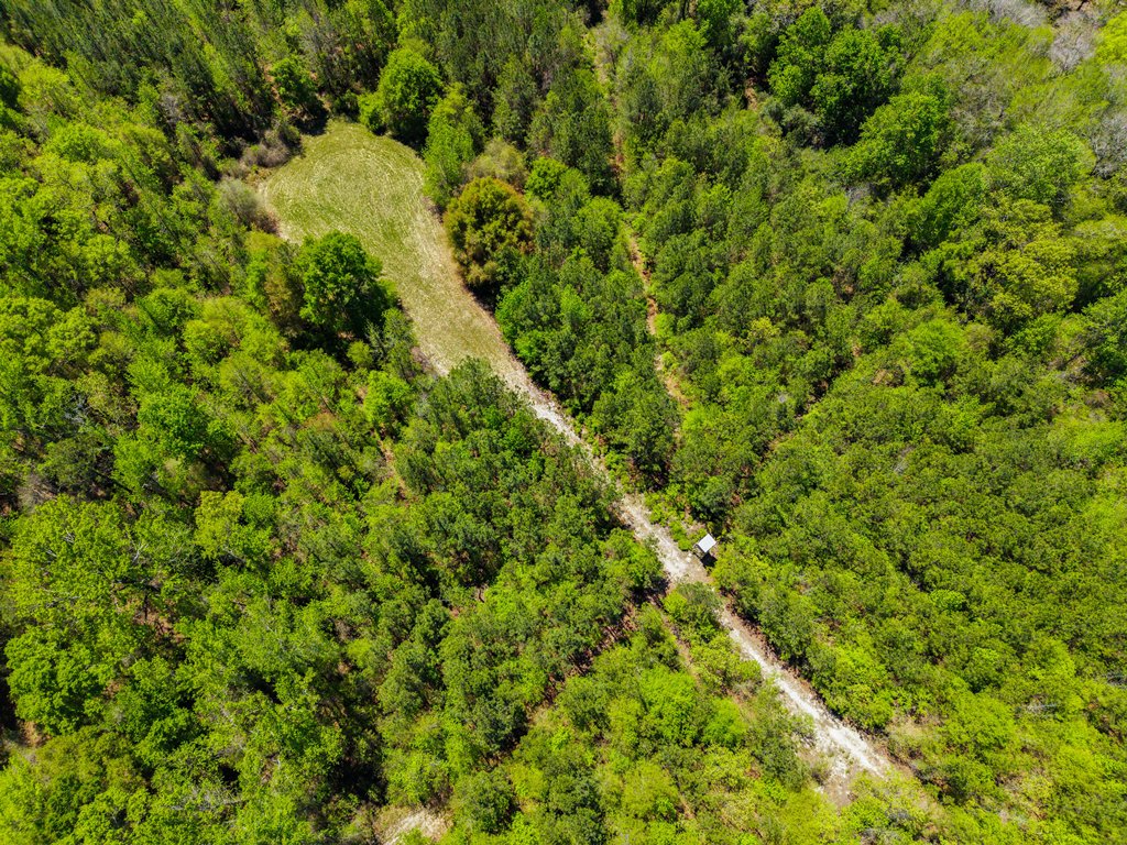 North Taylor Ranch Photo