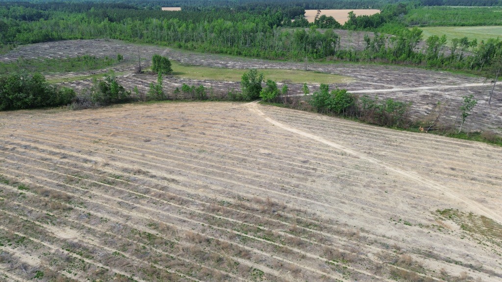 Bunn Store Road Photo