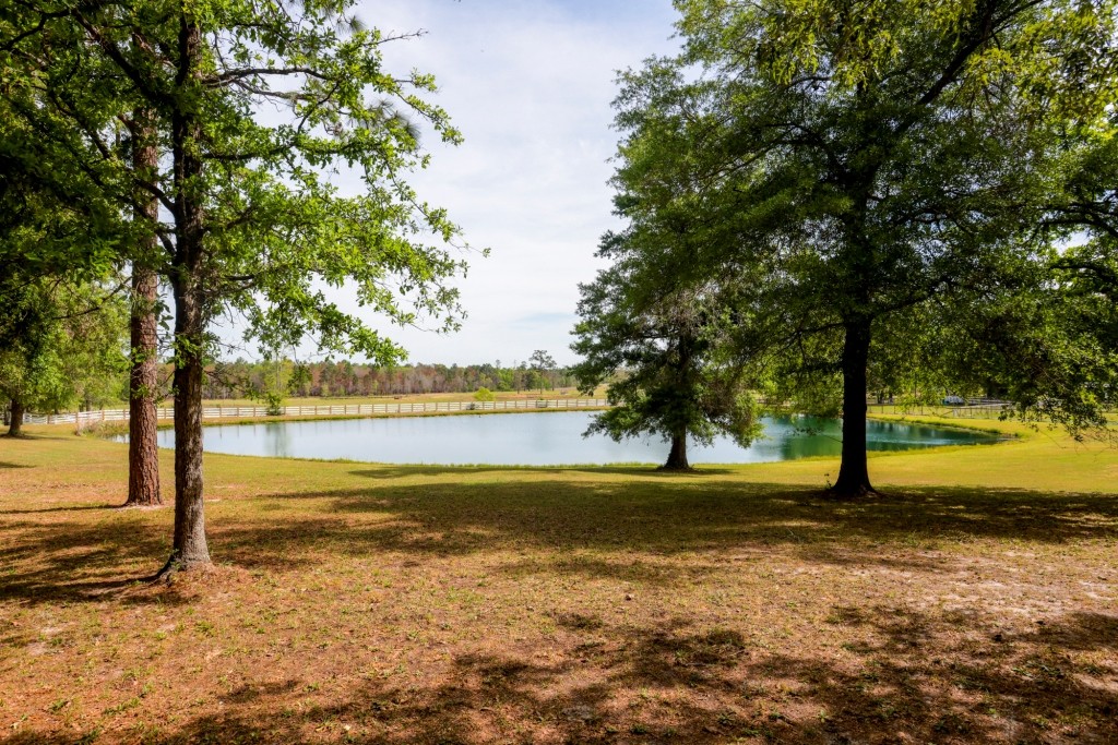 Elysian Fields Cattle Farm Photo