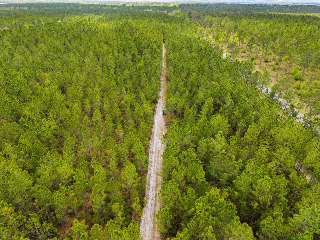 Wolf Branch Farm Photo