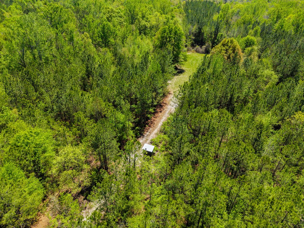 North Taylor Ranch Photo