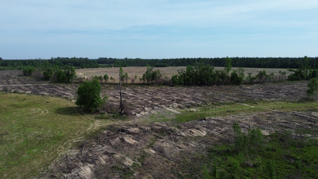 Bunn Store Road Photo