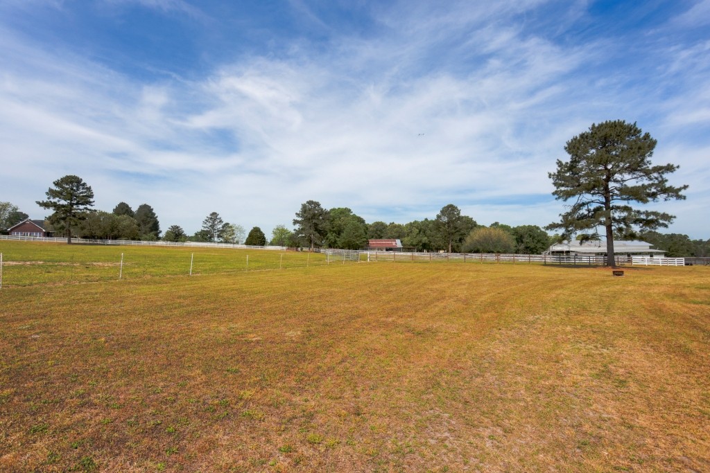 Elysian Fields Cattle Farm Photo