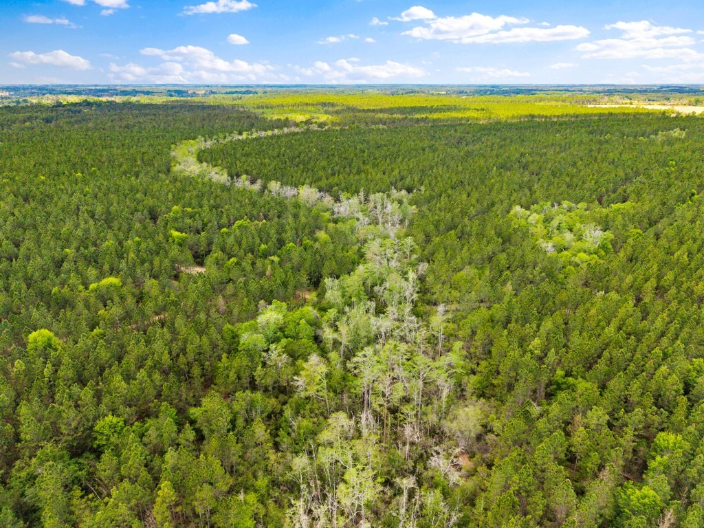 Wolf Branch Farm Photo