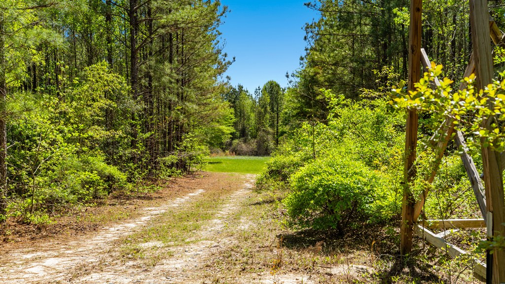 North Taylor Ranch Photo