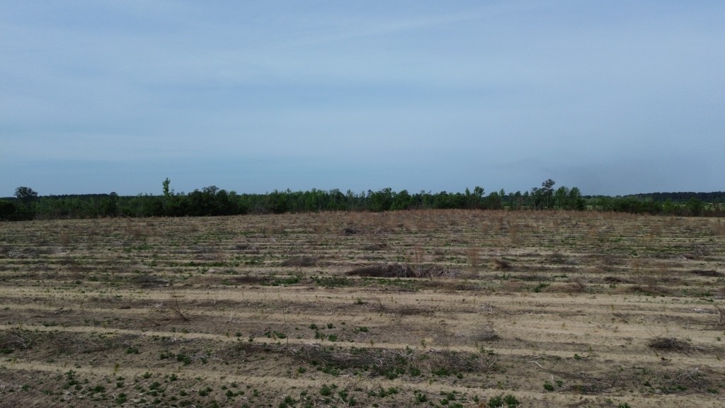 Bunn Store Road – Tract 3 Photo