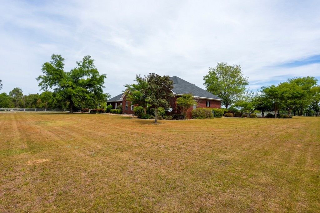 Elysian Fields Cattle Farm Photo