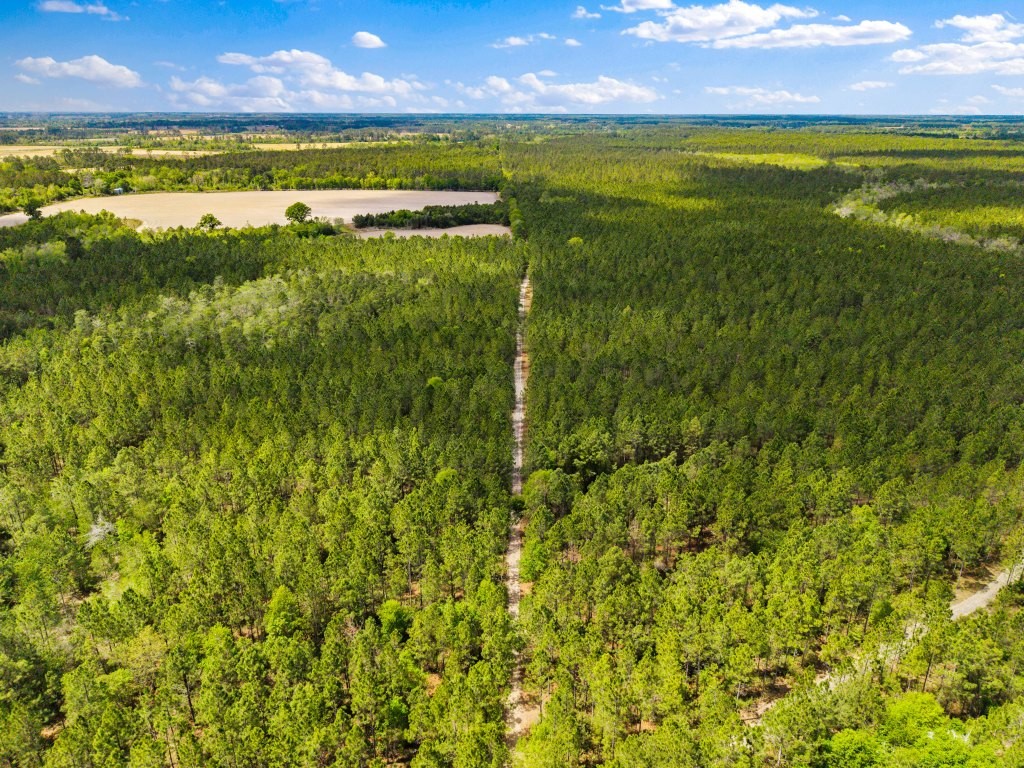 Wolf Branch Farm Photo