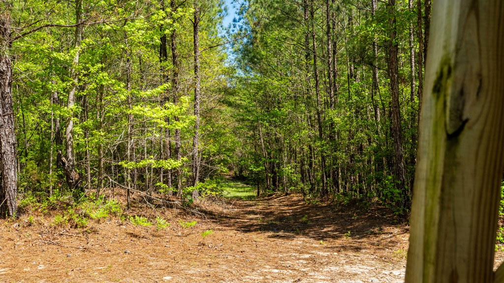 North Taylor Ranch Photo