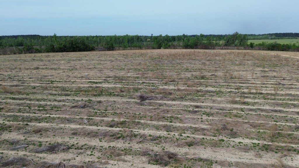 Bunn Store Road Photo