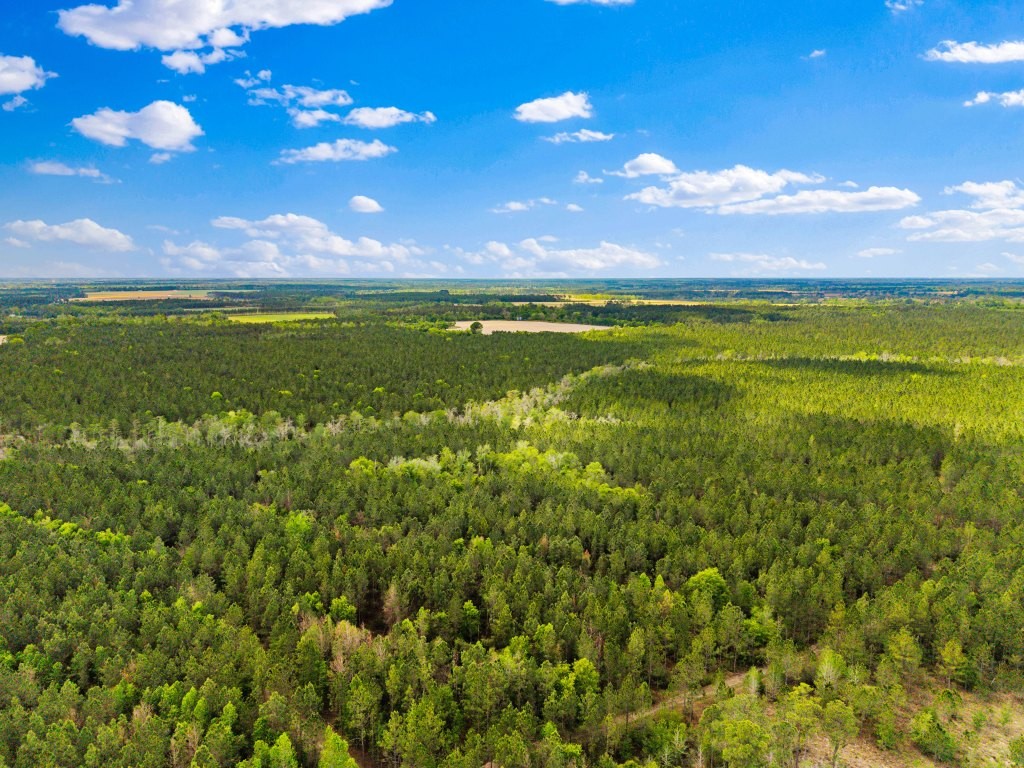 Wolf Branch Farm Photo