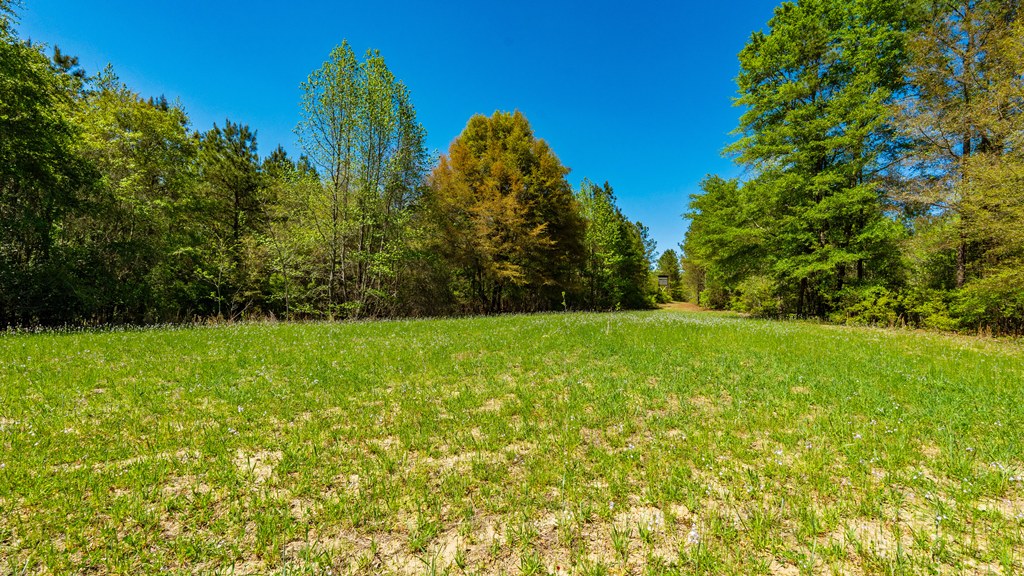 North Taylor Ranch Photo