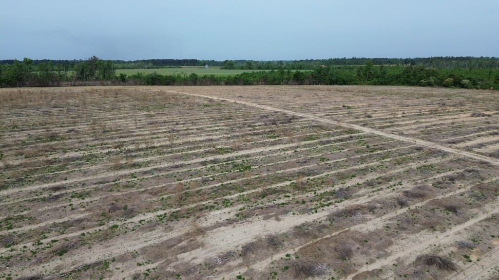 Bunn Store Road Photo