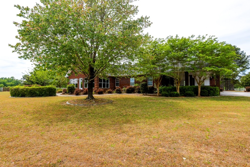 Elysian Fields Cattle Farm Photo