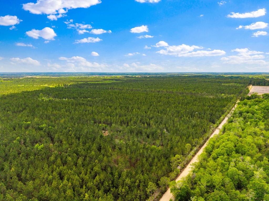 Wolf Branch Farm Photo