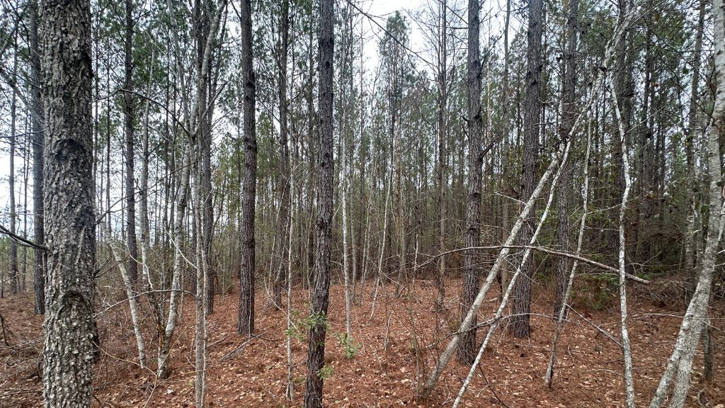 160 Landing Road Photo