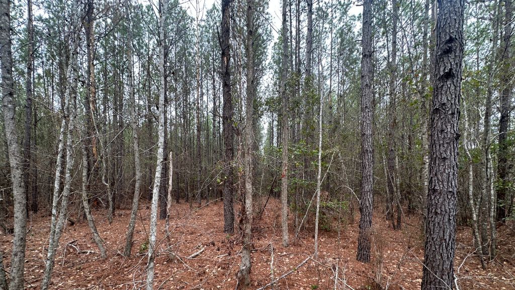 160 Landing Road Photo