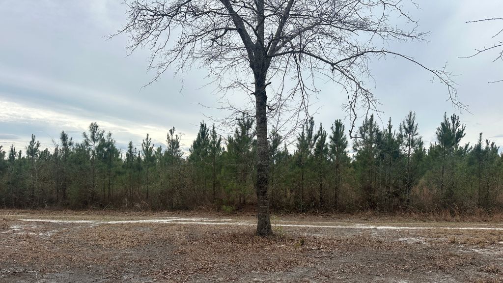 160 Landing Road Photo