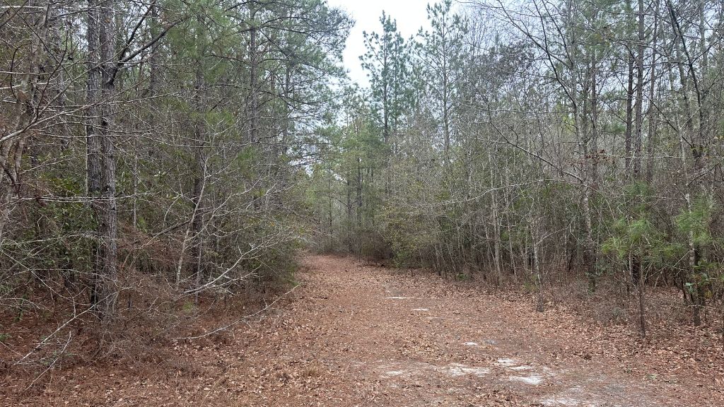 160 Landing Road Photo