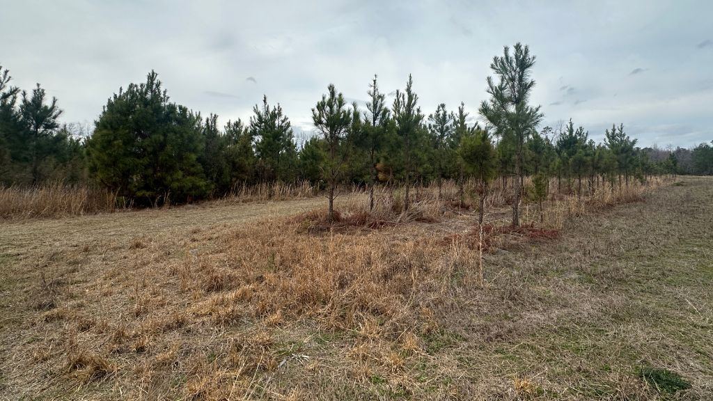 160 Landing Road Photo