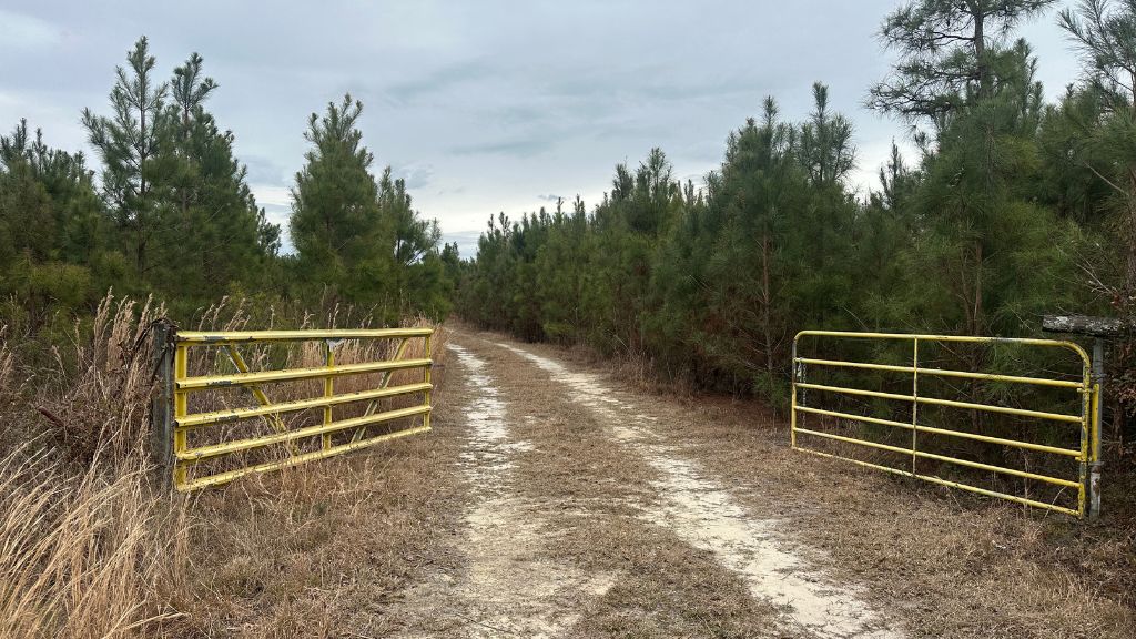 160 Landing Road Photo