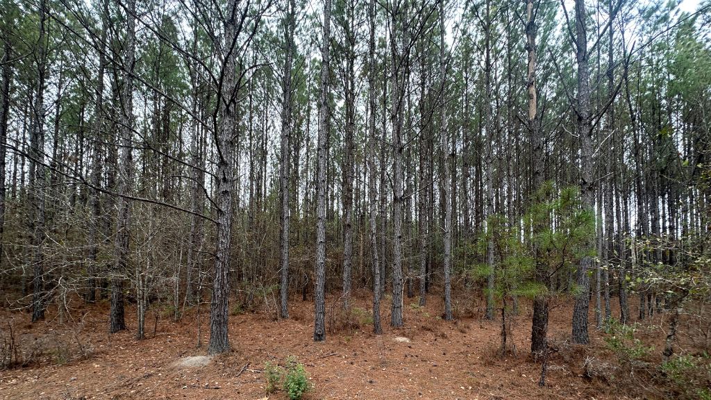 160 Landing Road Photo