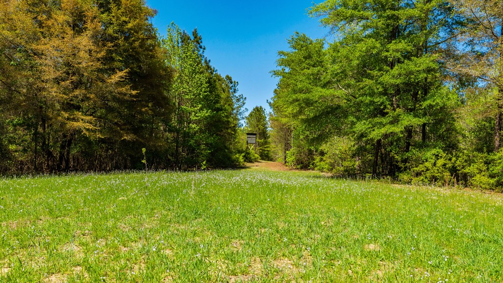 North Taylor Ranch Photo