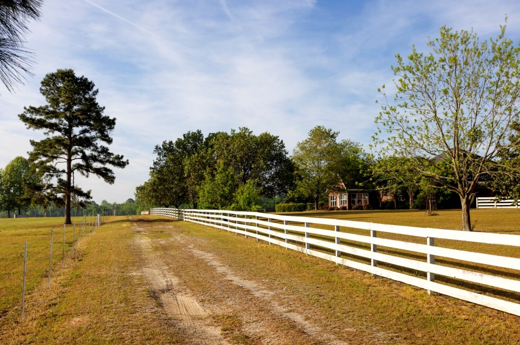 Elysian Fields Cattle Farm Photo