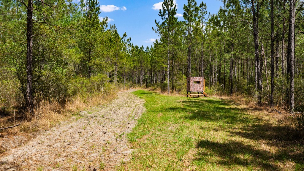 Wolf Branch Farm Photo