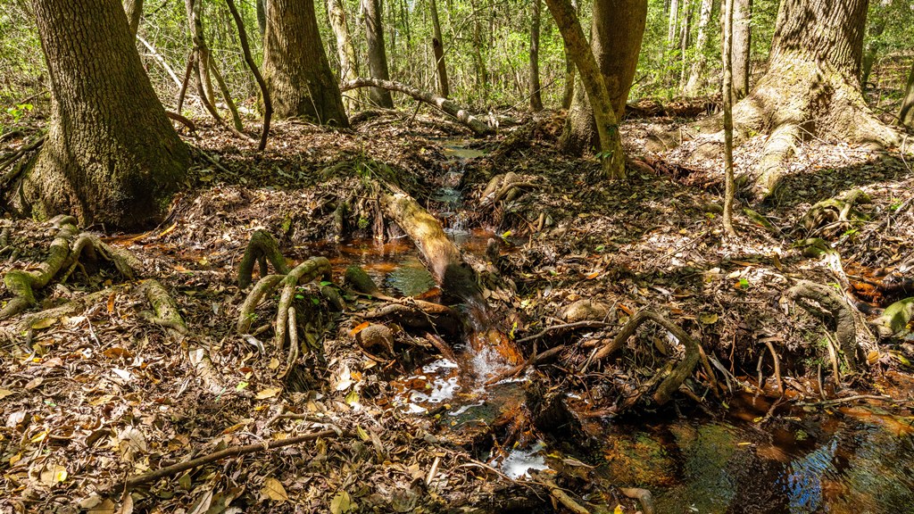 North Taylor Ranch Photo