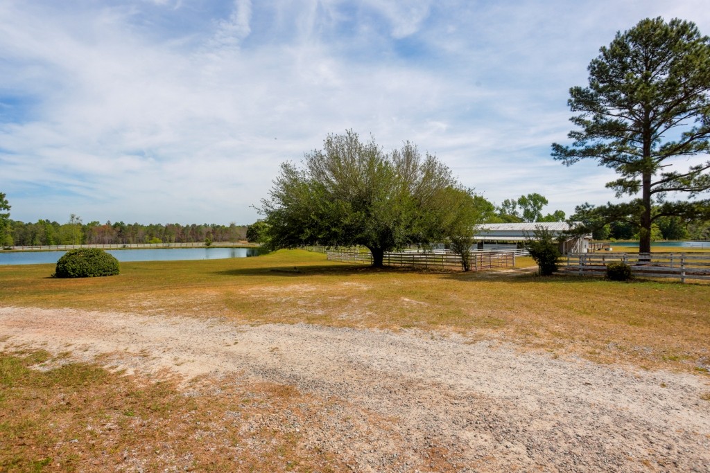 Elysian Fields Cattle Farm Photo