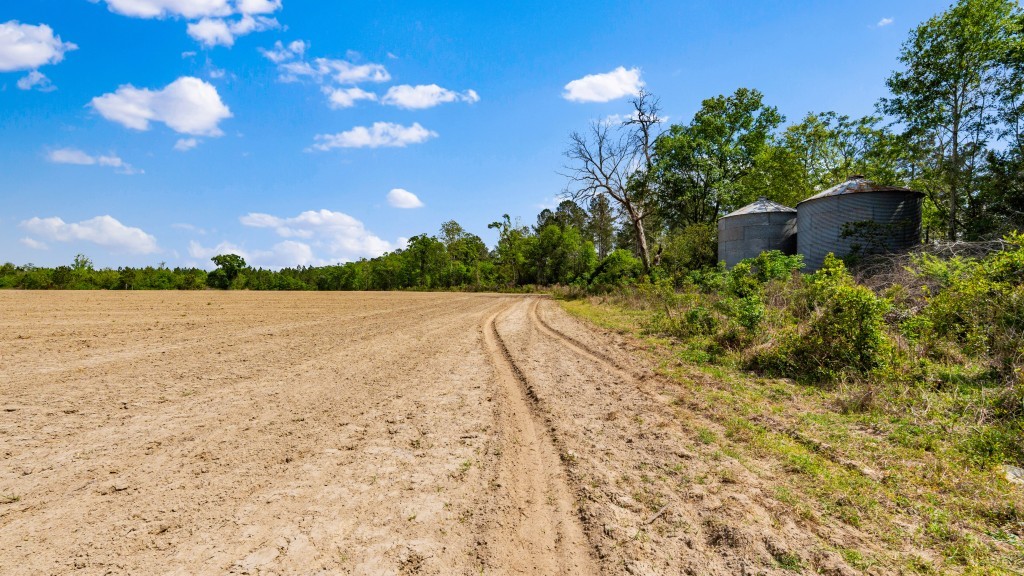 Wolf Branch Farm Photo