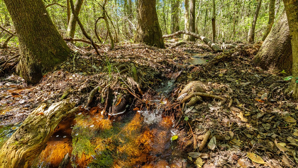 North Taylor Ranch Photo