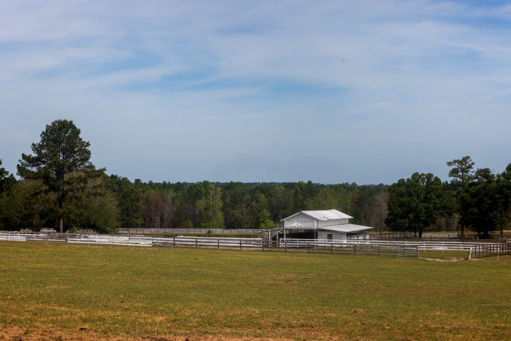 Elysian Fields Cattle Farm Photo