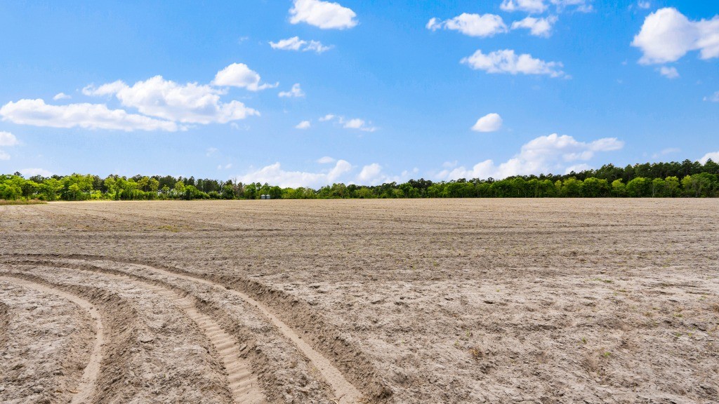 Wolf Branch Farm Photo